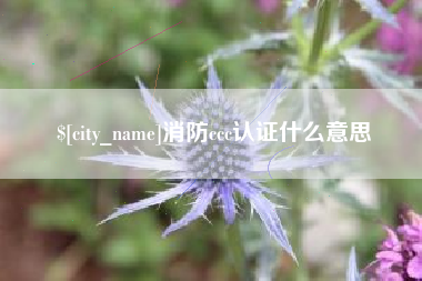 迁安市消防ccc认证什么意思