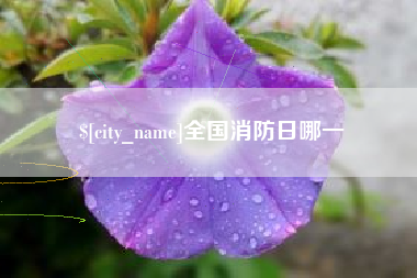 迁安市全国消防日哪一
