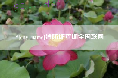 迁安市消防证查询全国联网