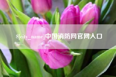 迁安市中国消防网官网入口