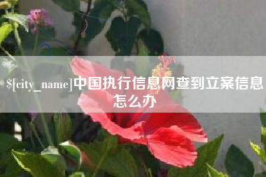 迁安市中国执行信息网查到立案信息怎么办