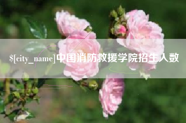 迁安市中国消防救援学院招生人数