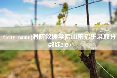 迁安市消防救援学院山东招生录取分数线2020