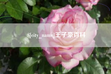 迁安市王子豪百科