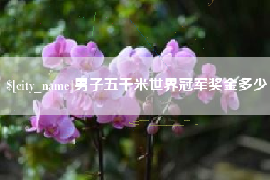 迁安市男子五千米世界冠军奖金多少