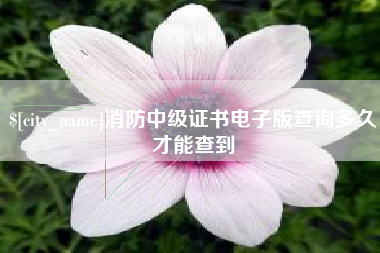 迁安市消防中级证书电子版查询多久才能查到