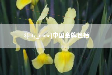 迁安市中国金牌包括
