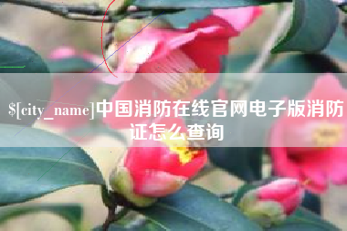迁安市中国消防在线官网电子版消防证怎么查询