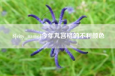 迁安市今年九宫格的不利颜色