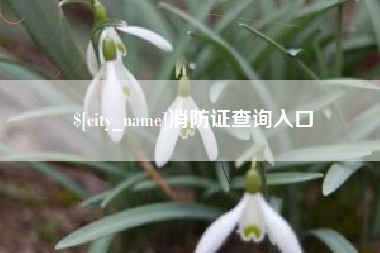 迁安市消防证查询入口