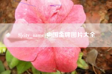 迁安市中国金牌图片大全