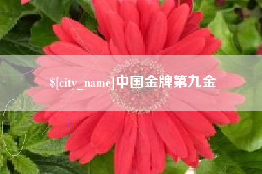 迁安市中国金牌第九金
