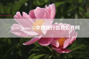迁安市1.中国执行信息公开网