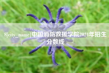 迁安市中国消防救援学院2024年招生分数线