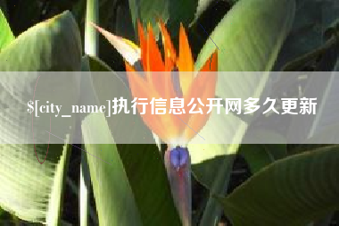 迁安市执行信息公开网多久更新