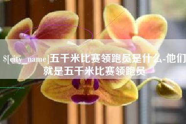 迁安市五千米比赛领跑员是什么-他们就是五千米比赛领跑员
