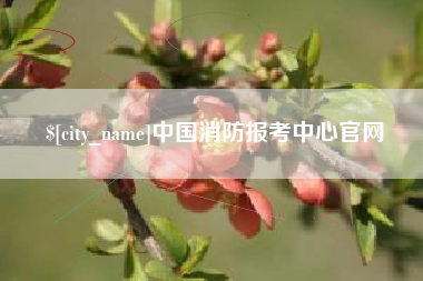 迁安市中国消防报考中心官网