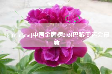 迁安市中国金牌榜2024巴黎奥运会最新