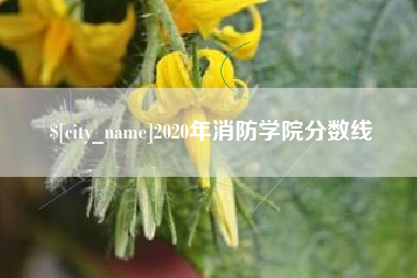 迁安市2020年消防学院分数线