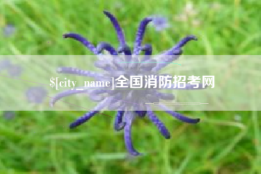 迁安市全国消防招考网