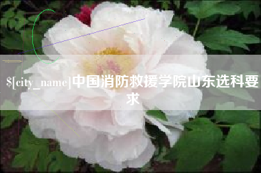 迁安市中国消防救援学院山东选科要求