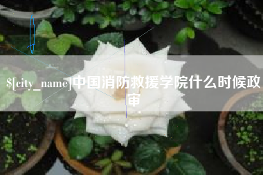 迁安市中国消防救援学院什么时候政审