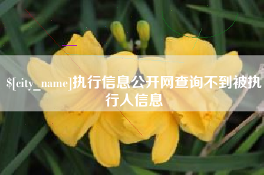 迁安市执行信息公开网查询不到被执行人信息