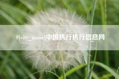 迁安市中国执行执行信息网