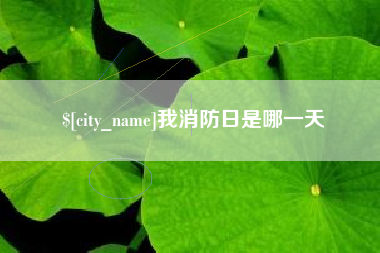 迁安市我消防日是哪一天