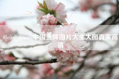 迁安市中国金牌图片大全大图真实高清