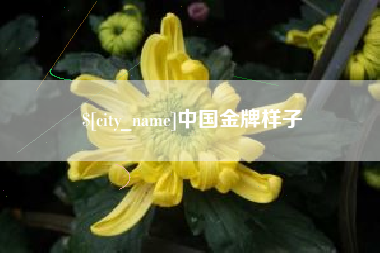 迁安市中国金牌样子