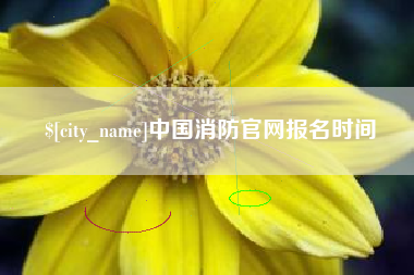 迁安市中国消防官网报名时间