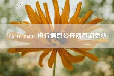 迁安市执行信息公开网查询免费