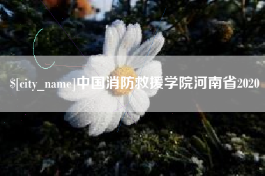 迁安市中国消防救援学院河南省2020